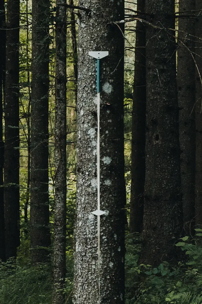 ausmessung-gutachten-wald