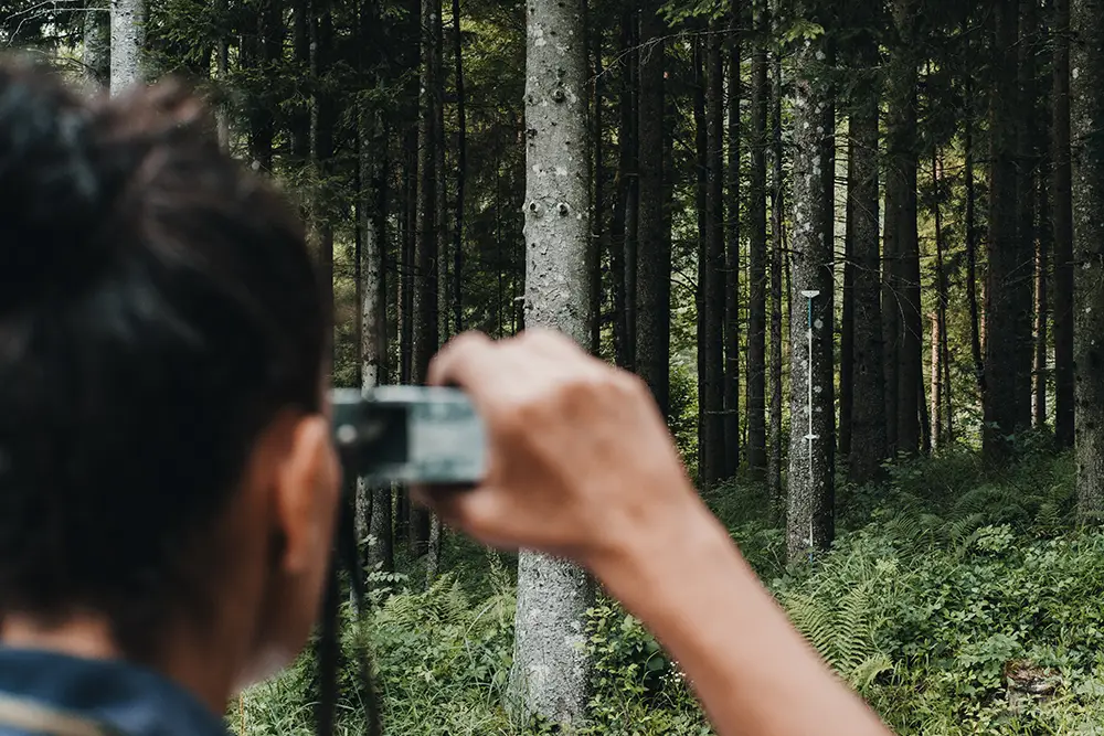 sandra-hoebarth-bei-einer-forstbegutachtung