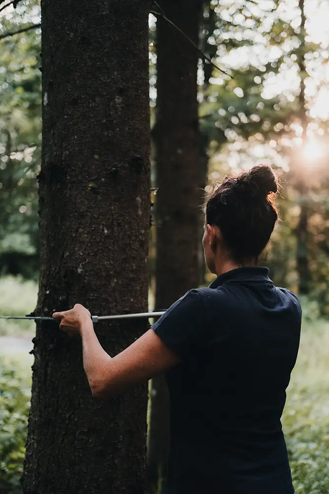 sandra-hoebarth-bei-forstbegutachtung